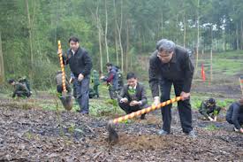 បំផុសបុណ្យតេតដាំដើមឈើនៅបណ្ដាដំបន់